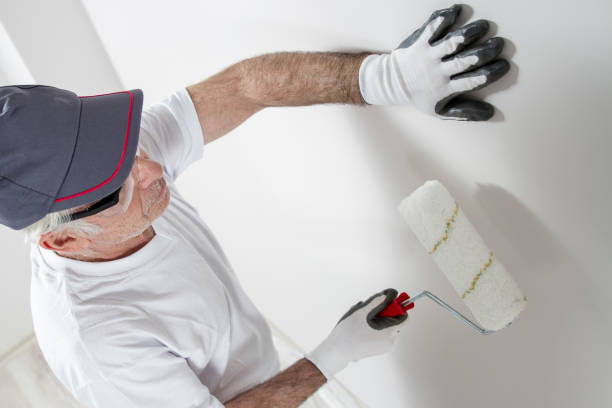 Best Mold Removal for HVAC Installations  in Chester, IL