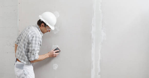 Best Basement Mold Removal  in Chester, IL