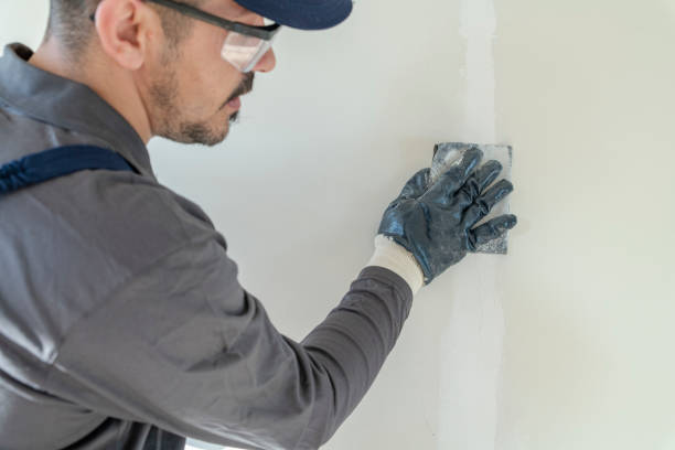 Best Industrial Mold Remediation  in Chester, IL