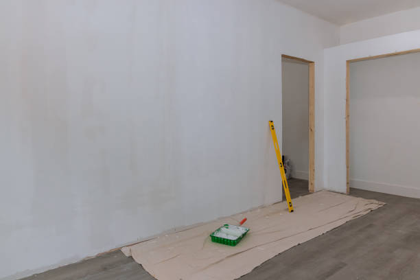 Best Commercial Mold Inspection  in Chester, IL