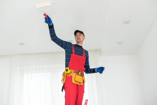 Professional Mold Removal in Chester, IL