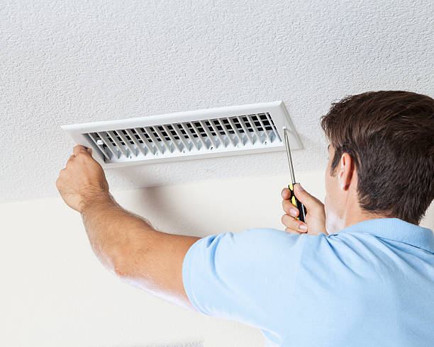 Best Water Damage & Mold Remediation  in Chester, IL