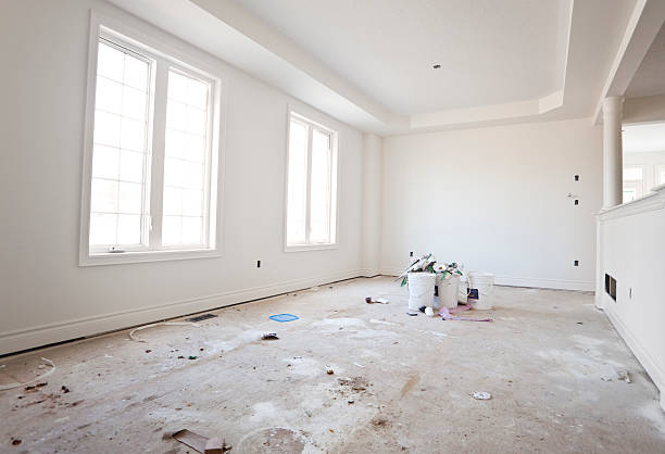 Best Dehumidification Services  in Chester, IL