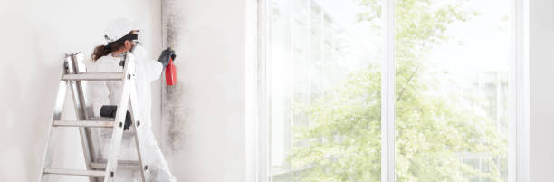Best Air Quality Testing for Mold Spores  in Chester, IL