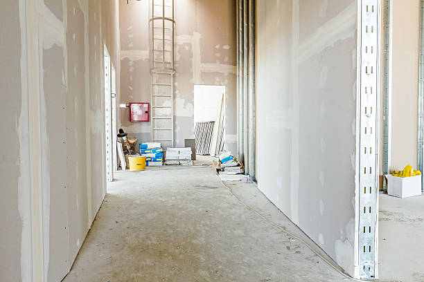 Best Post-Construction Mold Inspection  in Chester, IL