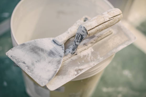 Best Mold Documentation for Insurance Claims  in Chester, IL