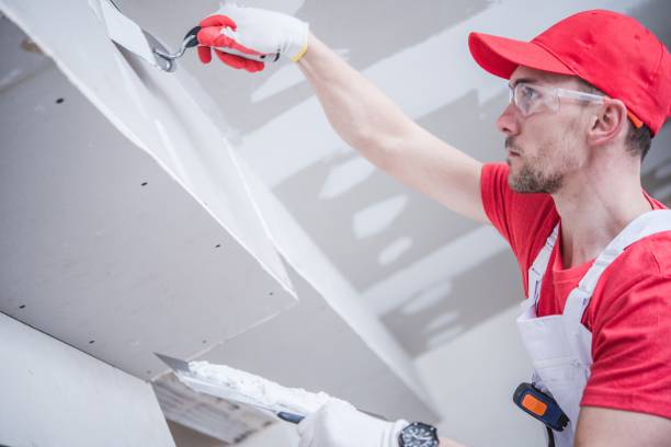 Best Black Mold Removal  in Chester, IL